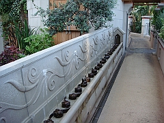 431 Longwood Gardens [2008 August 23]